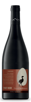 Dinosaure Gargantuavis Pinot noir 2023
